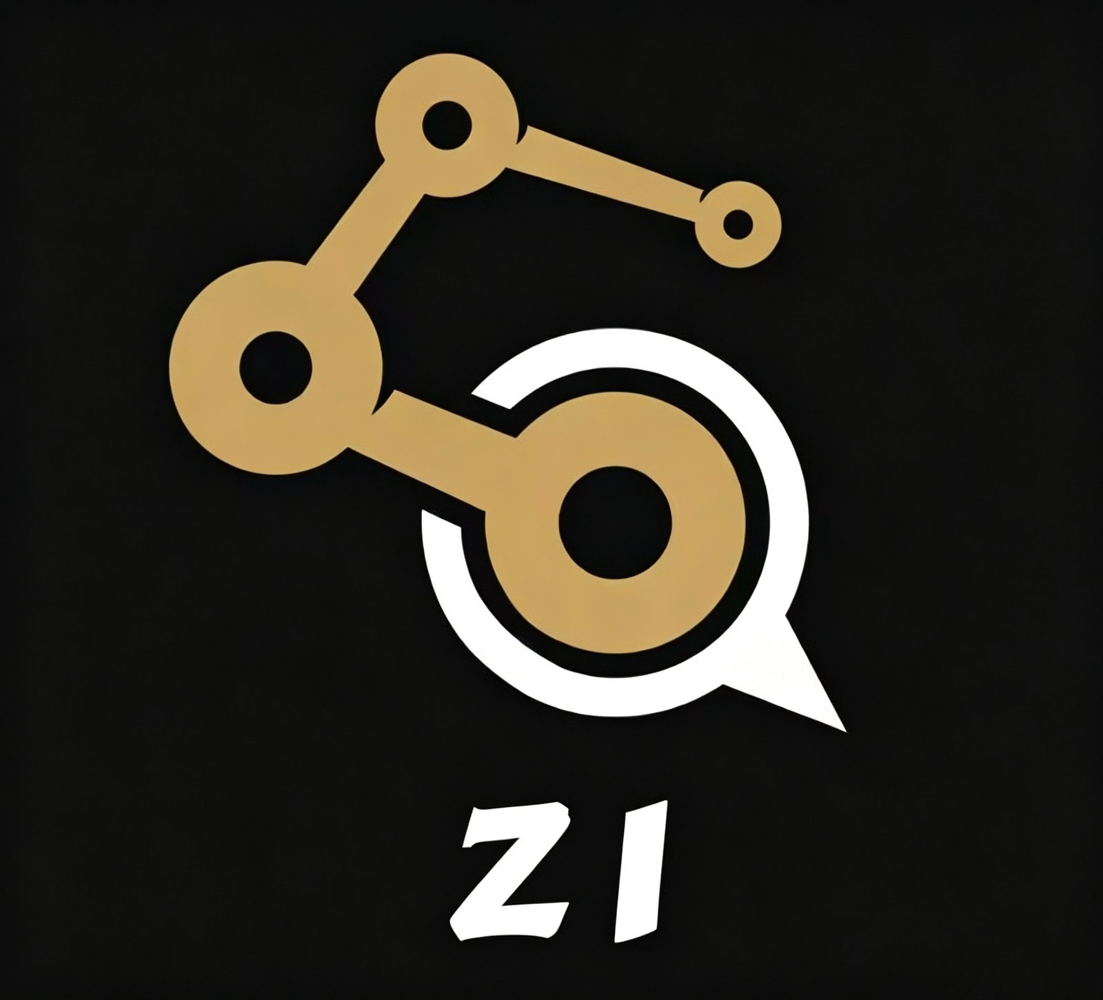 Zi Particular Logo